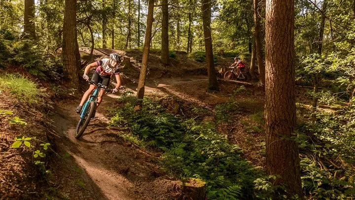 mountainbikers in natuurgebied