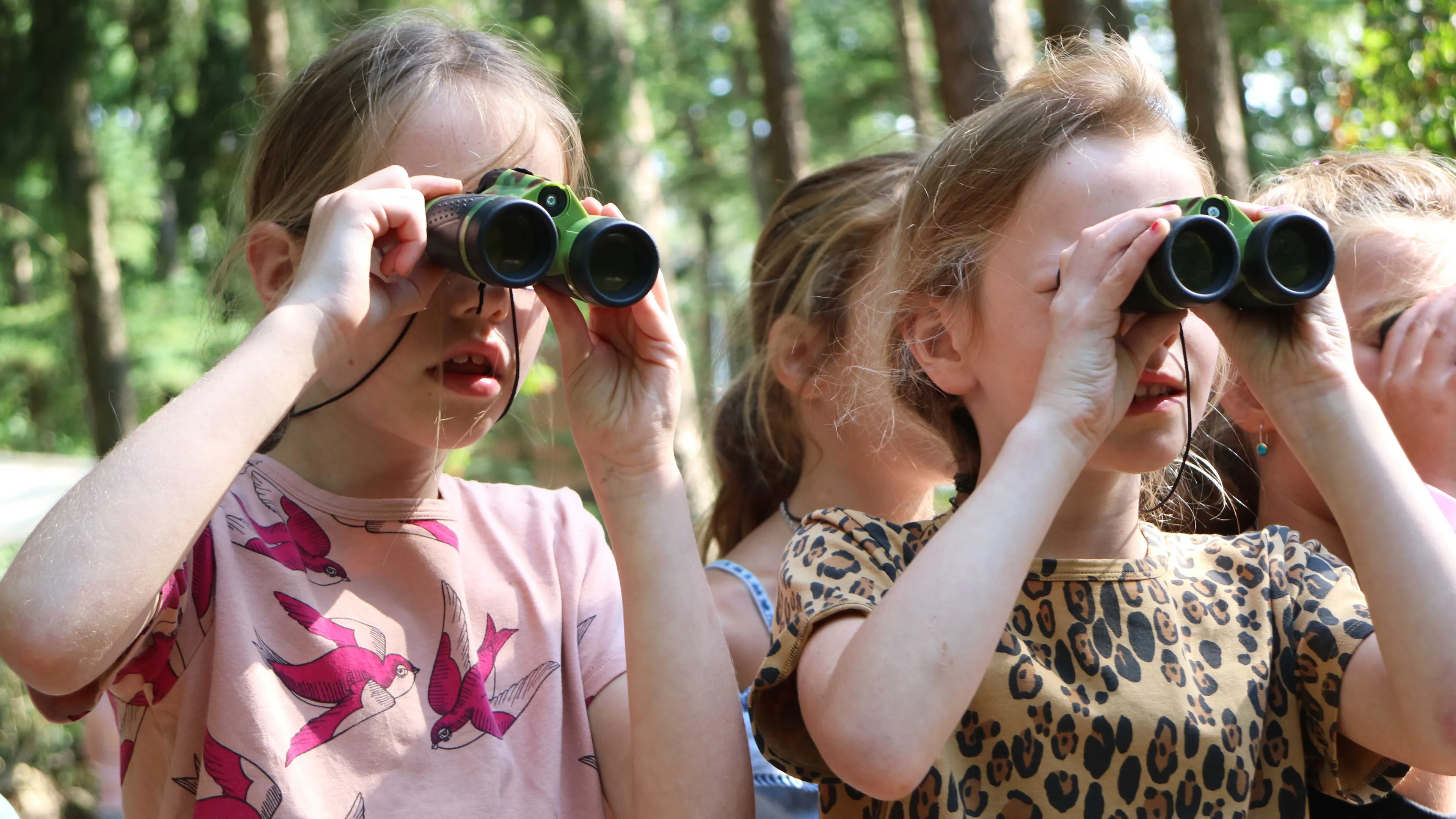 op de terp ontdekken de bezoekers spelenderwijs van alles over onze fluitende vrienden terwijl de vogels om je heen kwetteren