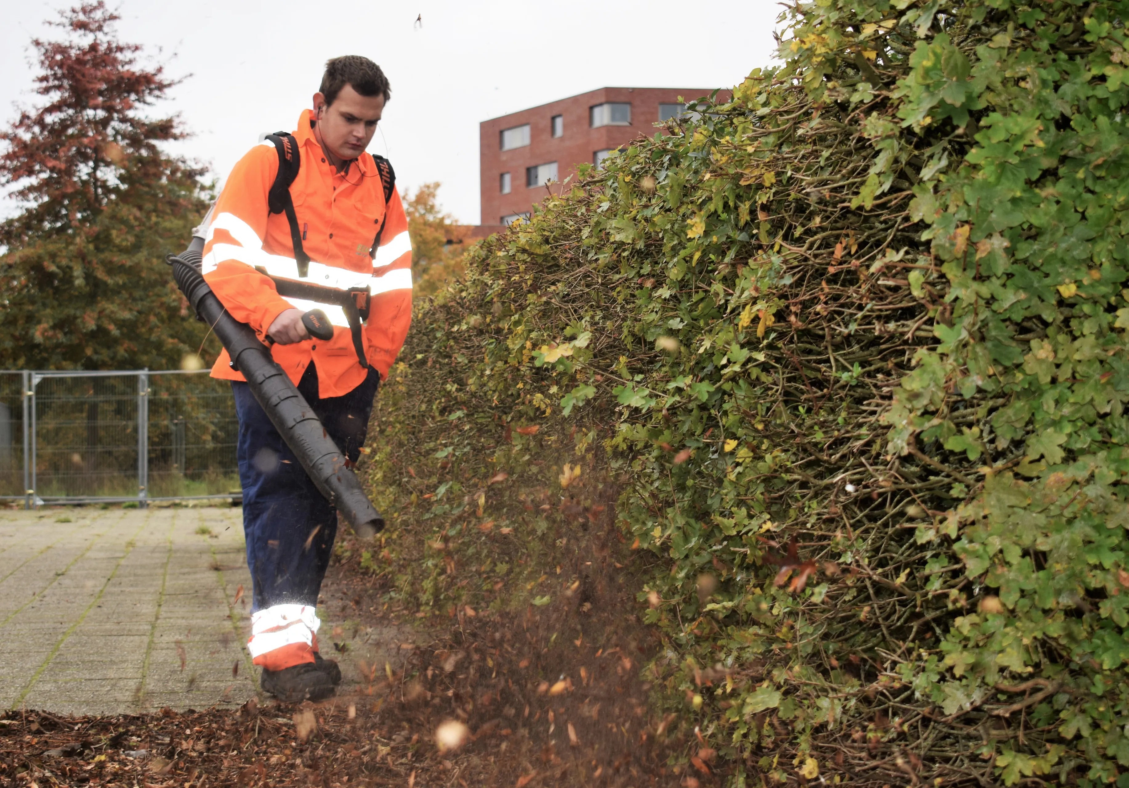 roy verkerk blaast blad