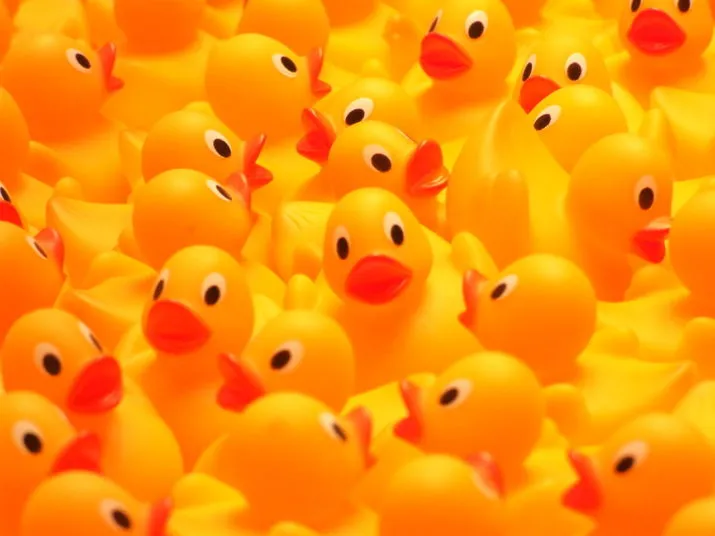rubber duckies so many ducks e1522249940531