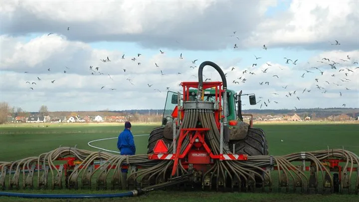 trekkerinlandschap metvogelshhjhj