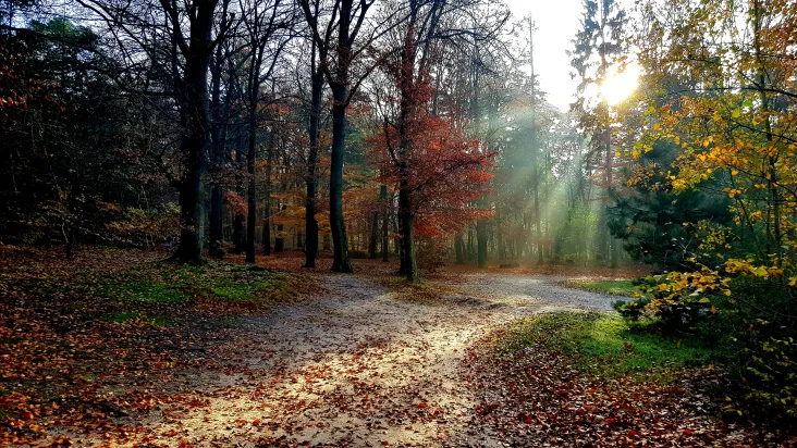 utrechtse heuvelrug