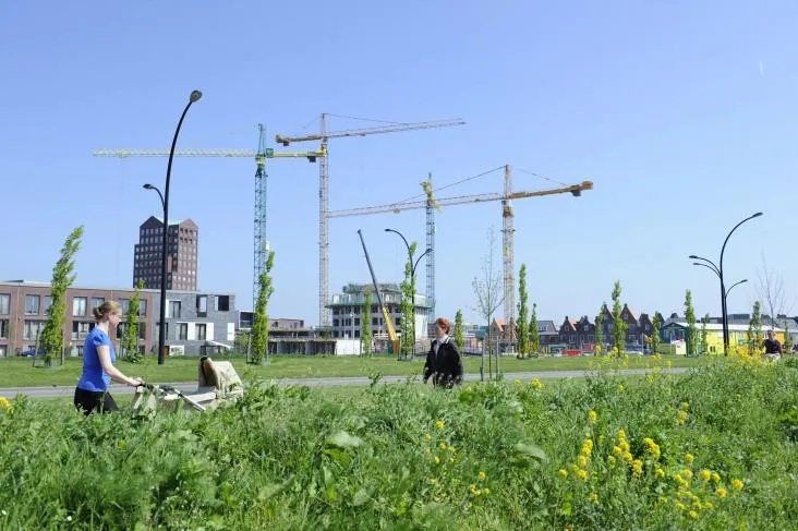 vathorstbouwkranen hah