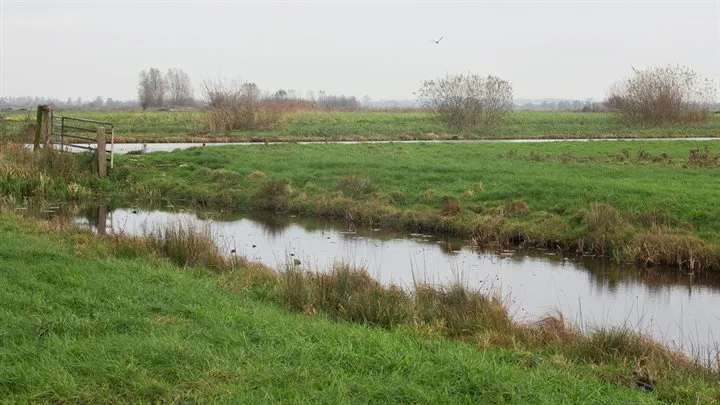 weiland en sloten