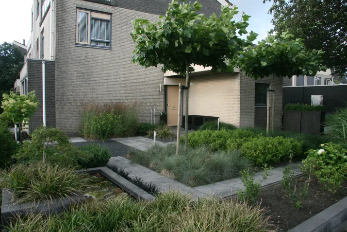 zomer foto 2