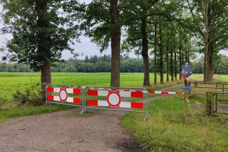 ontwerp zonder titel 65