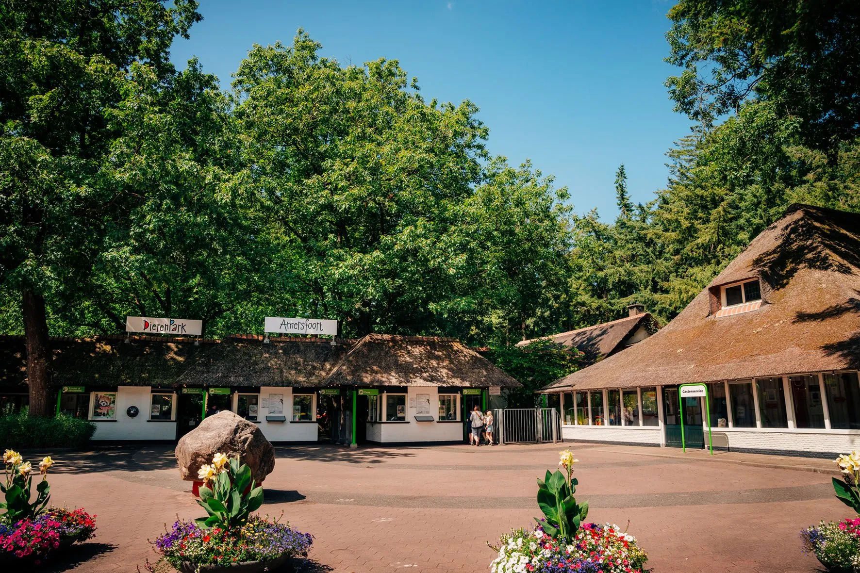 dierenpark amersfoort nieuwste lid van club van elf