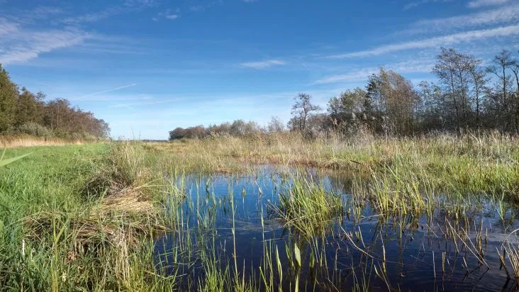 dwarsdijkerveld 10