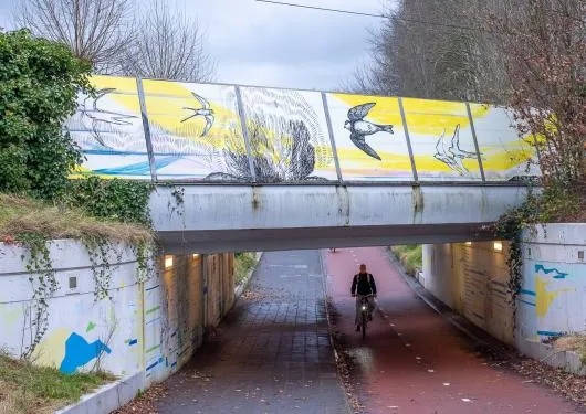 fietstunnel lienderseweg meridiaantunnel