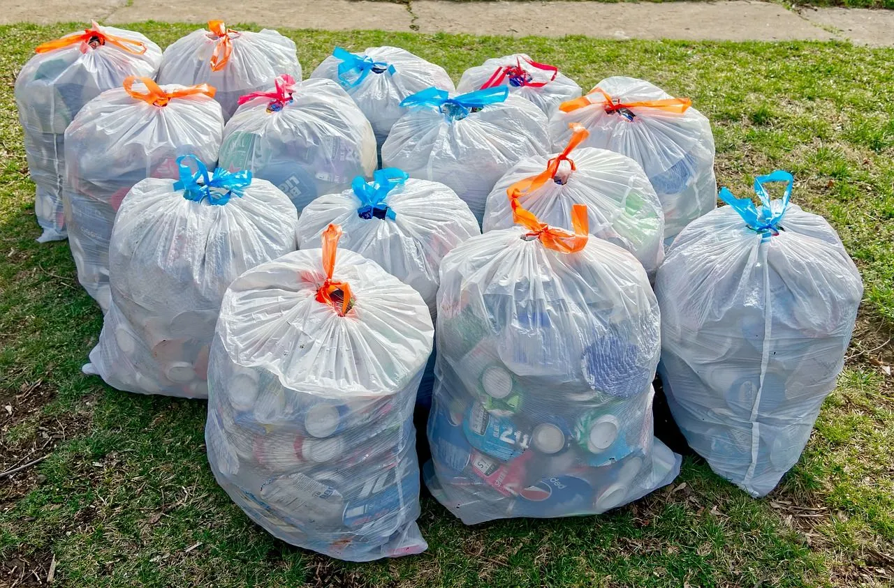white trash bags 7078771 1280