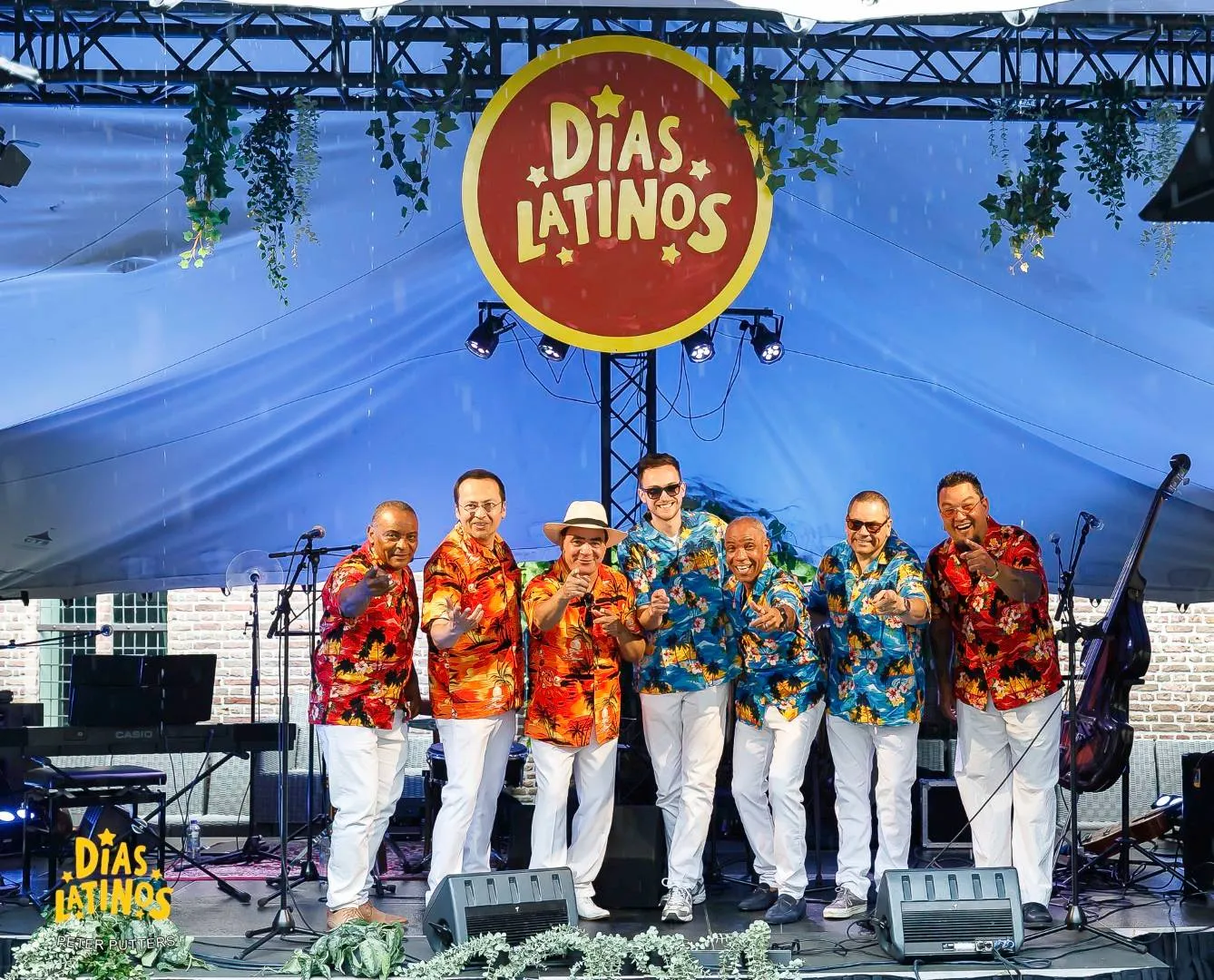 pedro luis y su caney groot