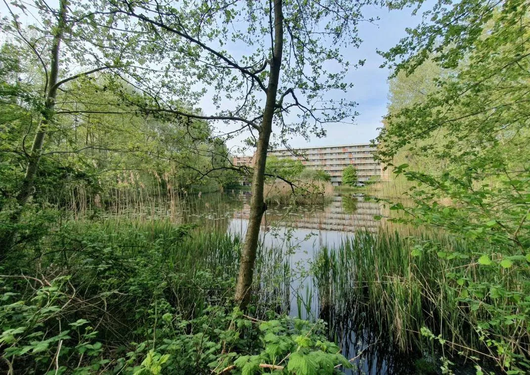 foto waterwingebied amersfoort