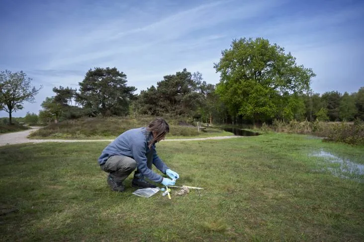 Vrijwilliger Wolf Monitoring