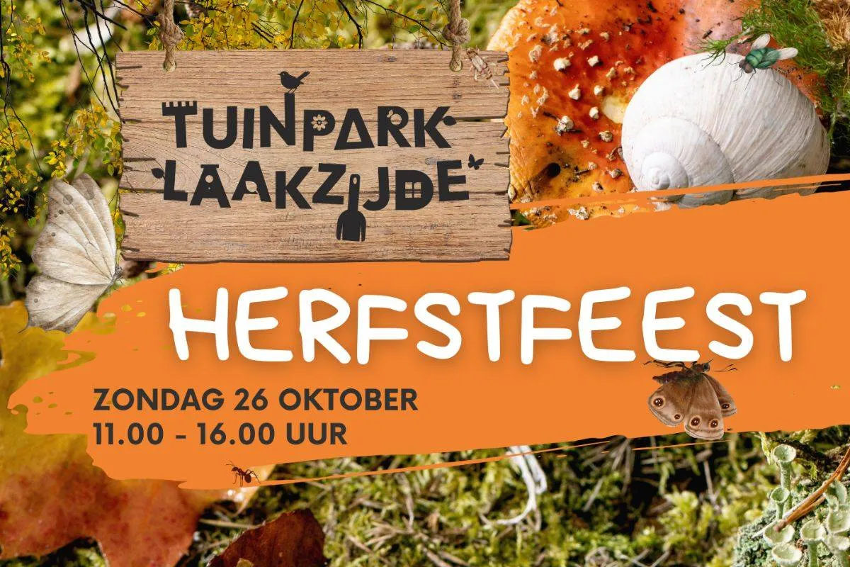 Ontwerp zonder titel (63)