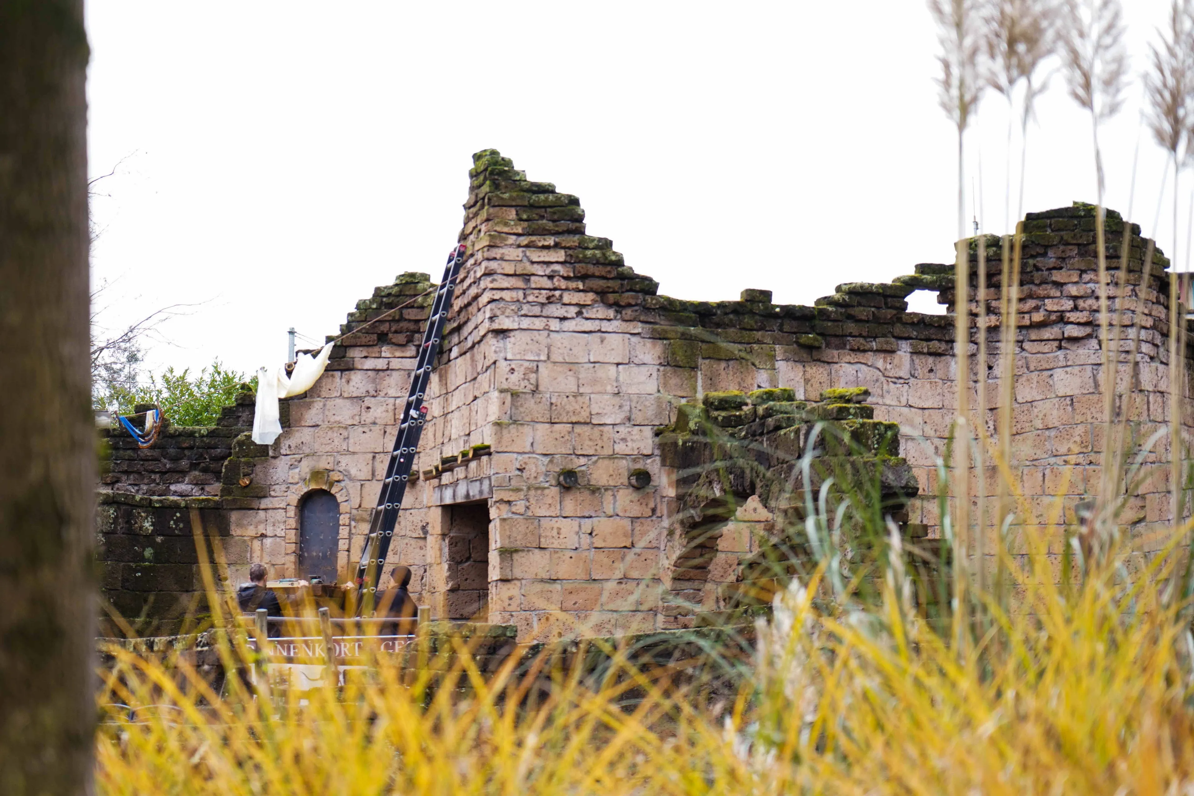 In het voormalige verblijf van de nijlroezetten krioelt het straks van de ratten