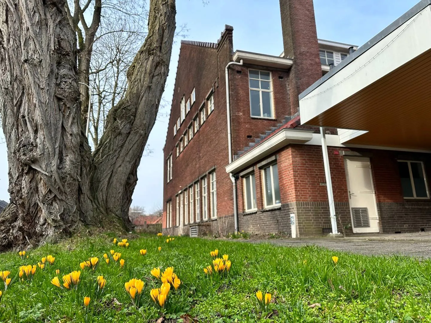 Lente in de WAR (Groot)