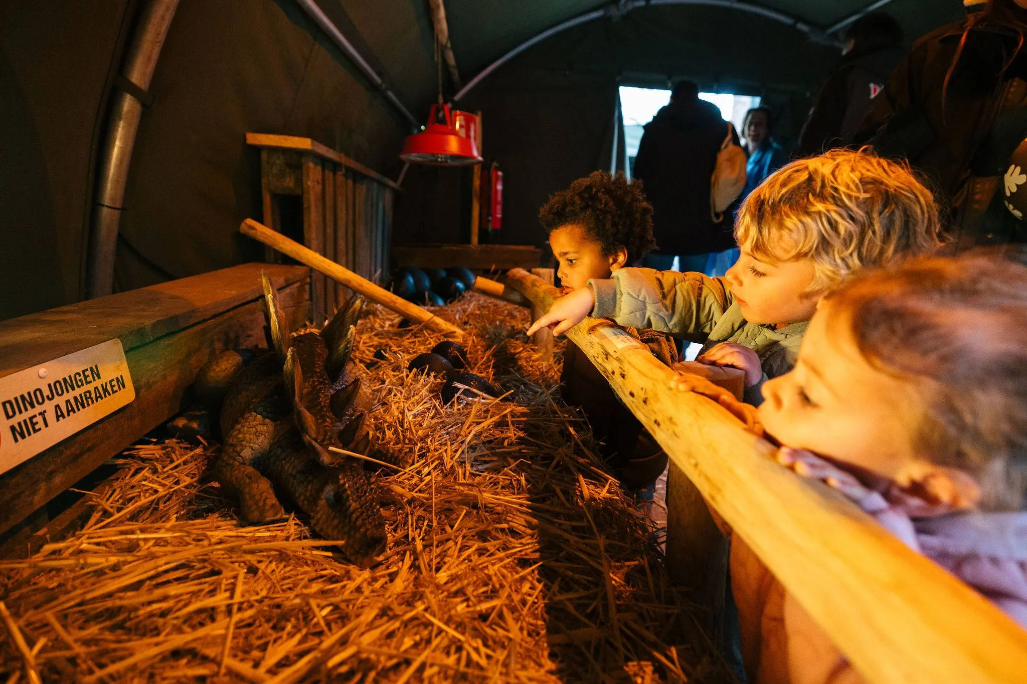 Survivallend komen de dinofans aan bij de dinobroedplaats, waar de avonturiers zelfs de dino-eieren kunnen bewonderen