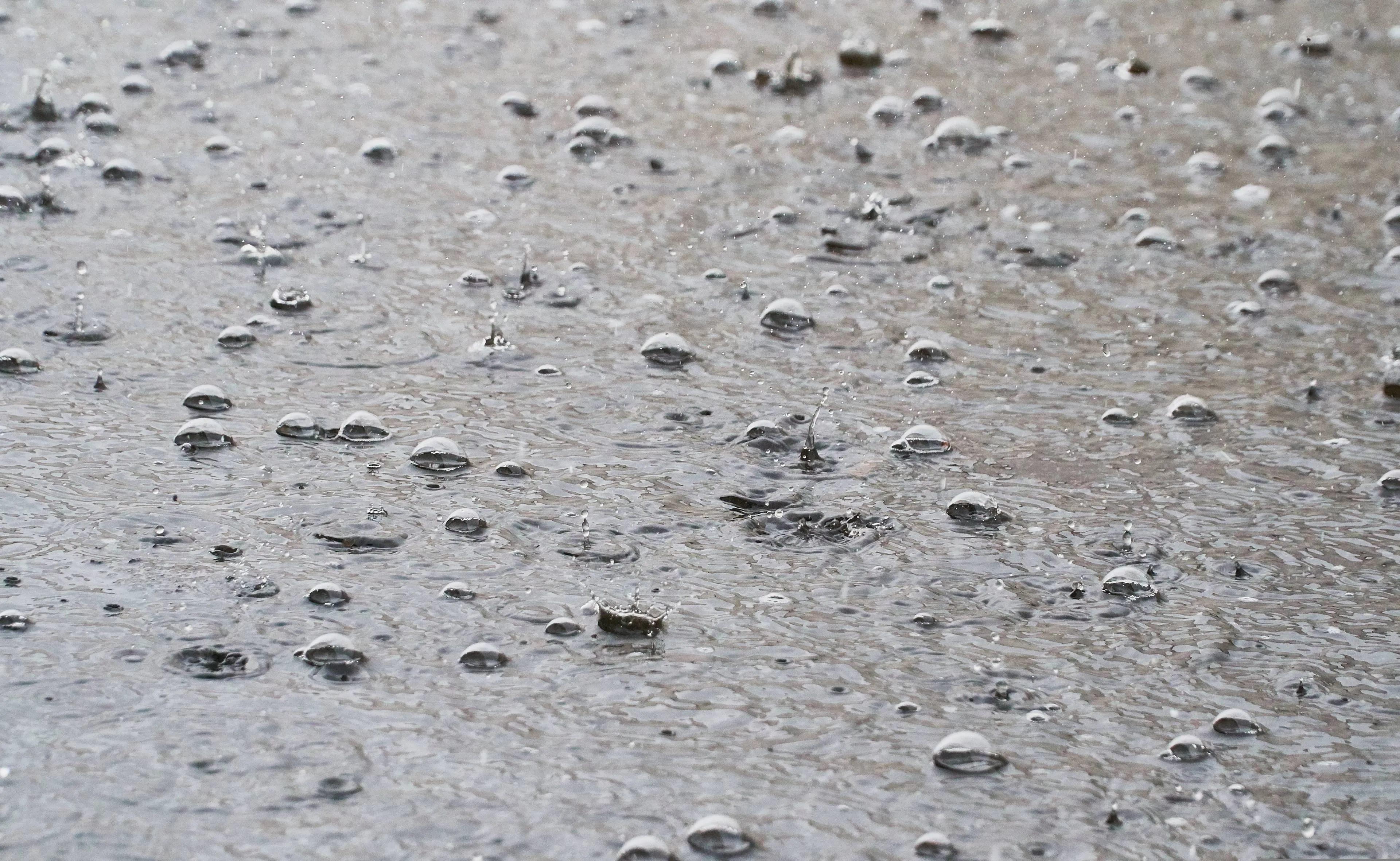 moinzon-rain-1412412