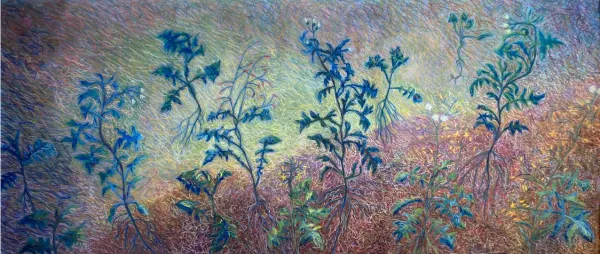 unnamed (5)