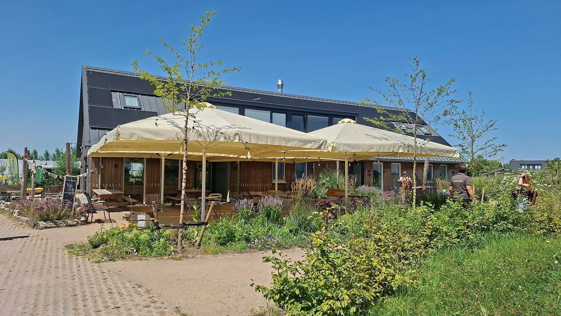 Theehuis terras zomer