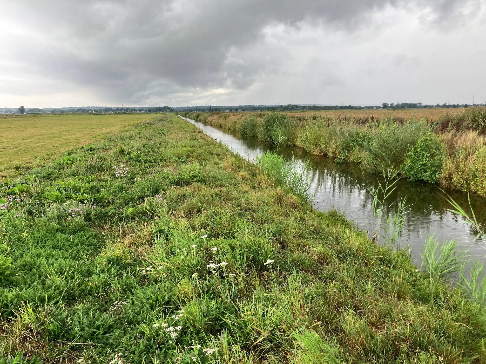 Valleikanaal binnenveldse hooilanden