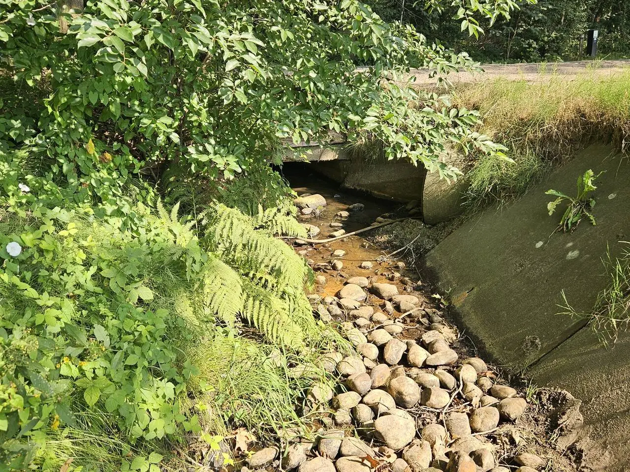 Veldbeek Bussenweg Putten