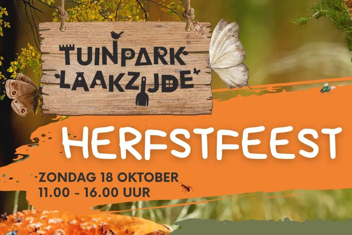 Ontwerp zonder titel (7)