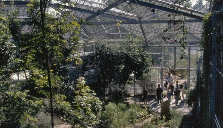 11a