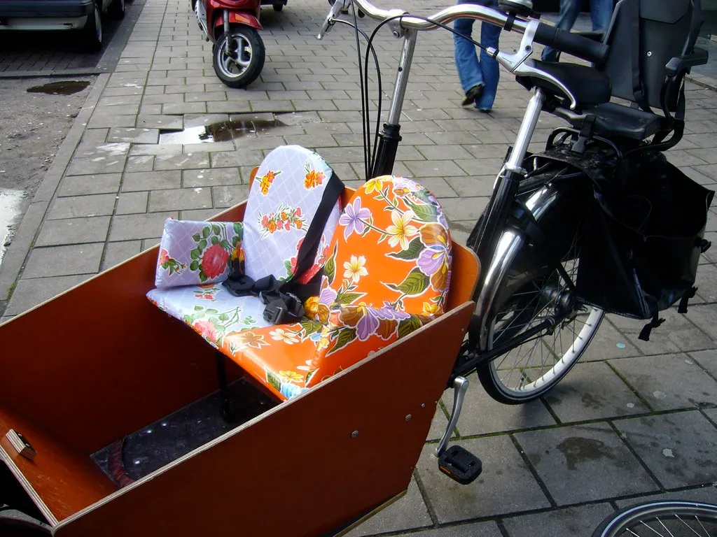 434059436 77308d75a2 b