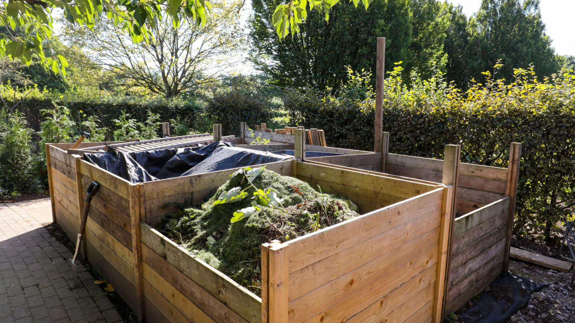 compost