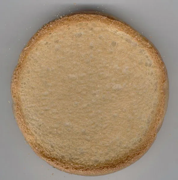 beschuitje wikimedia