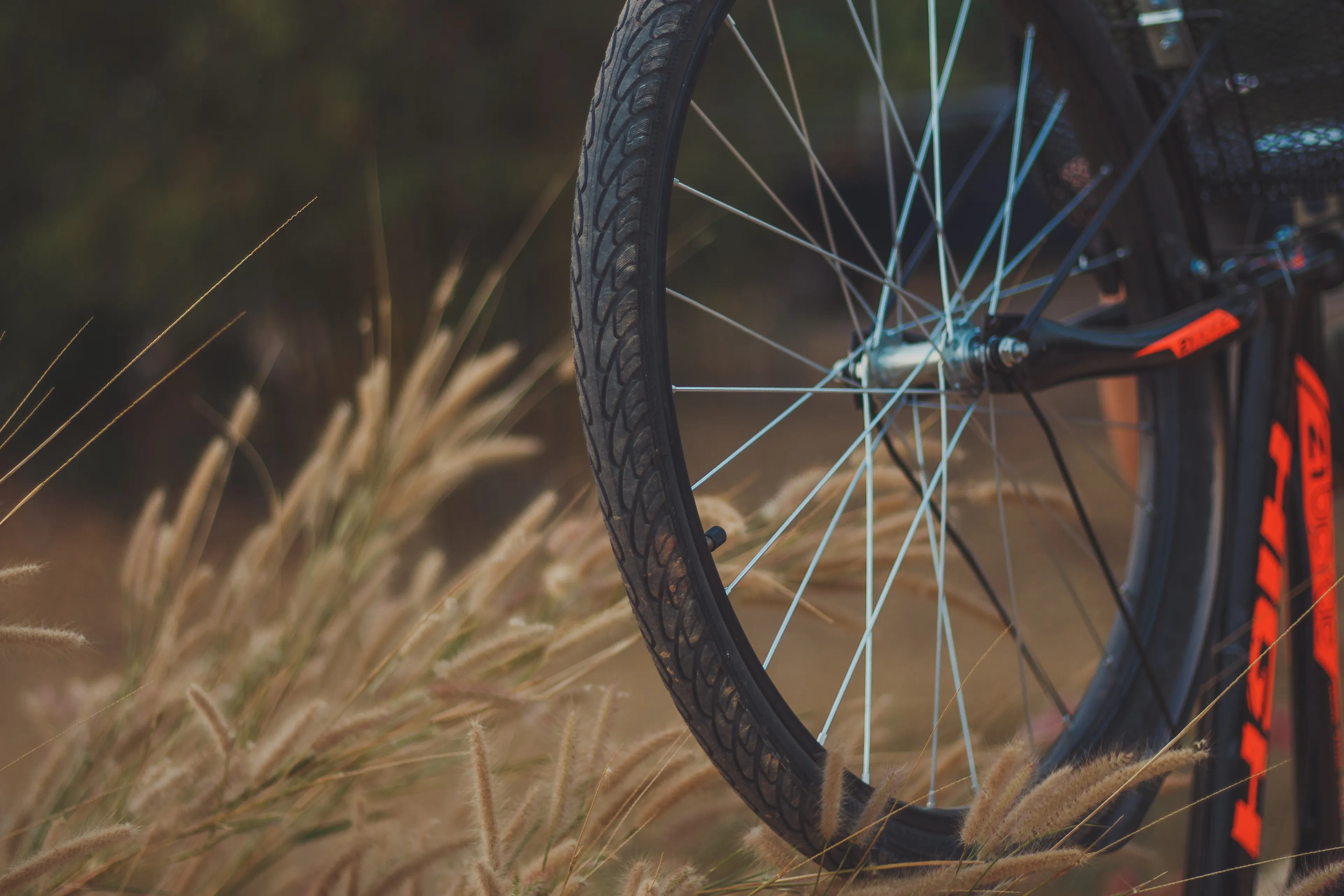 bicycle 4724945