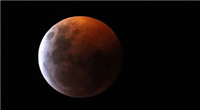 bloedmaan