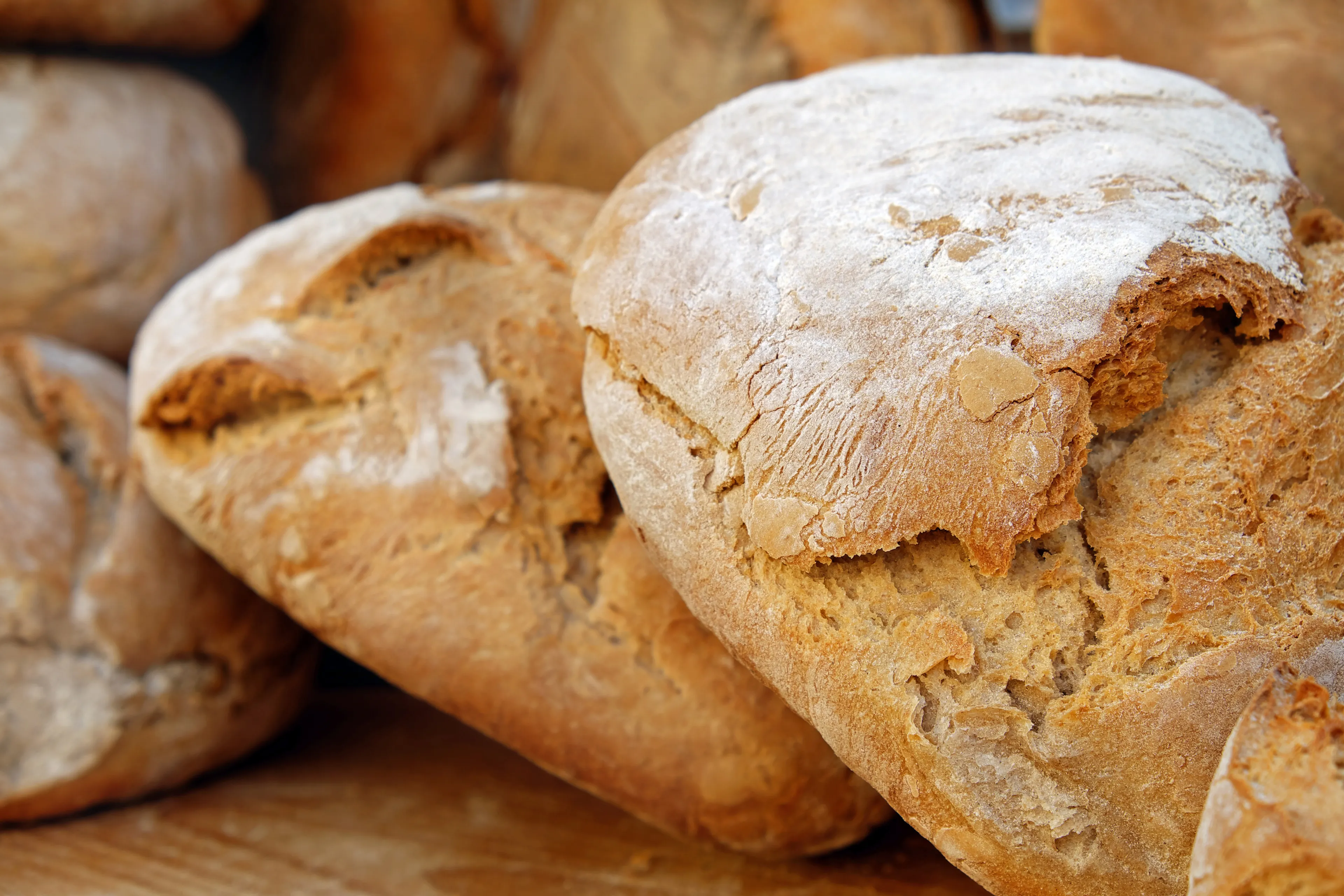 bread 2193537