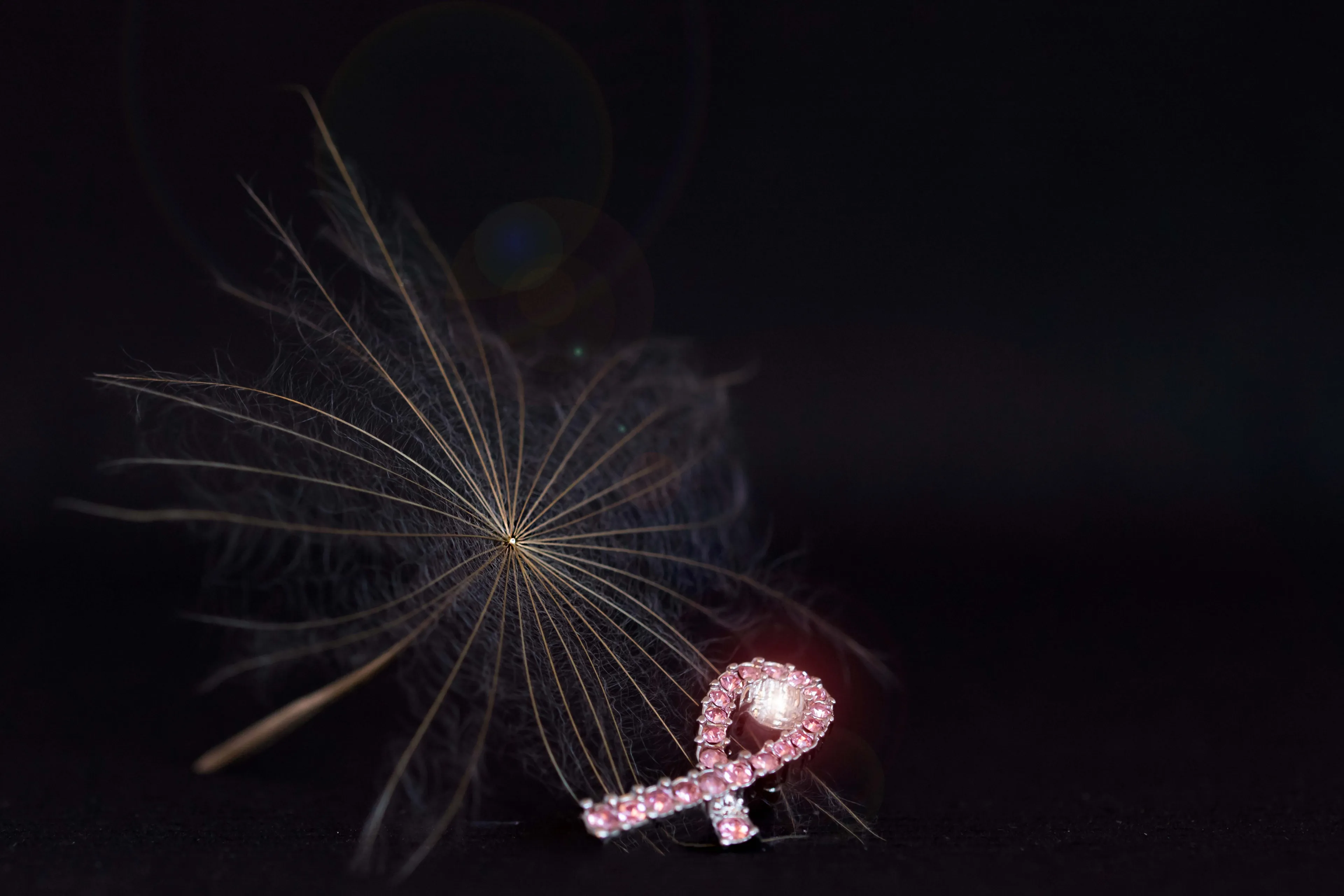 breast cancer 2773774