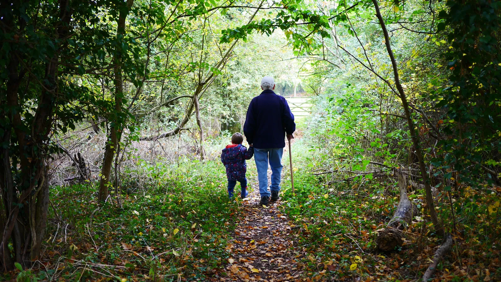 canva grandparent walking with child on a forest path 1