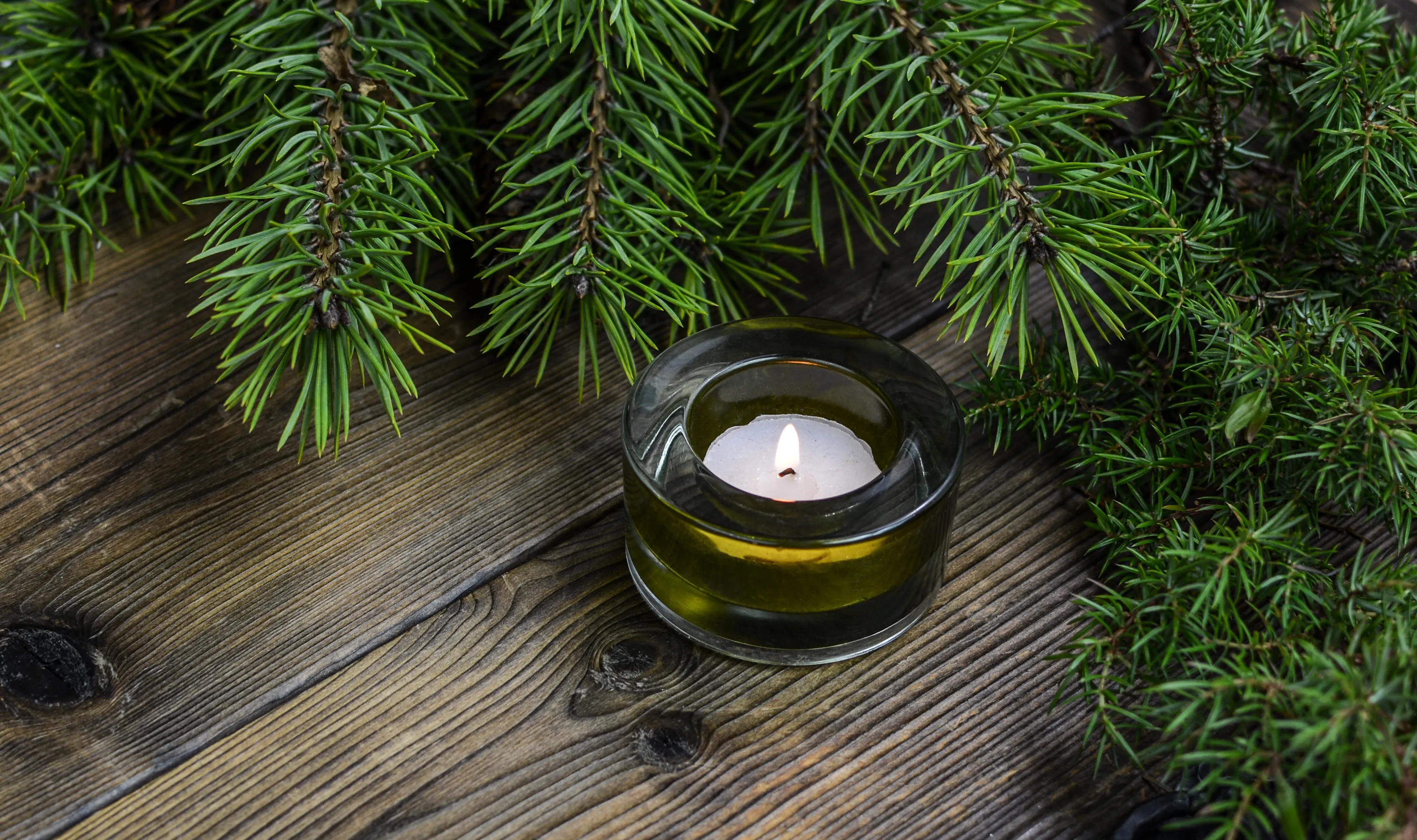 christmas 2930915