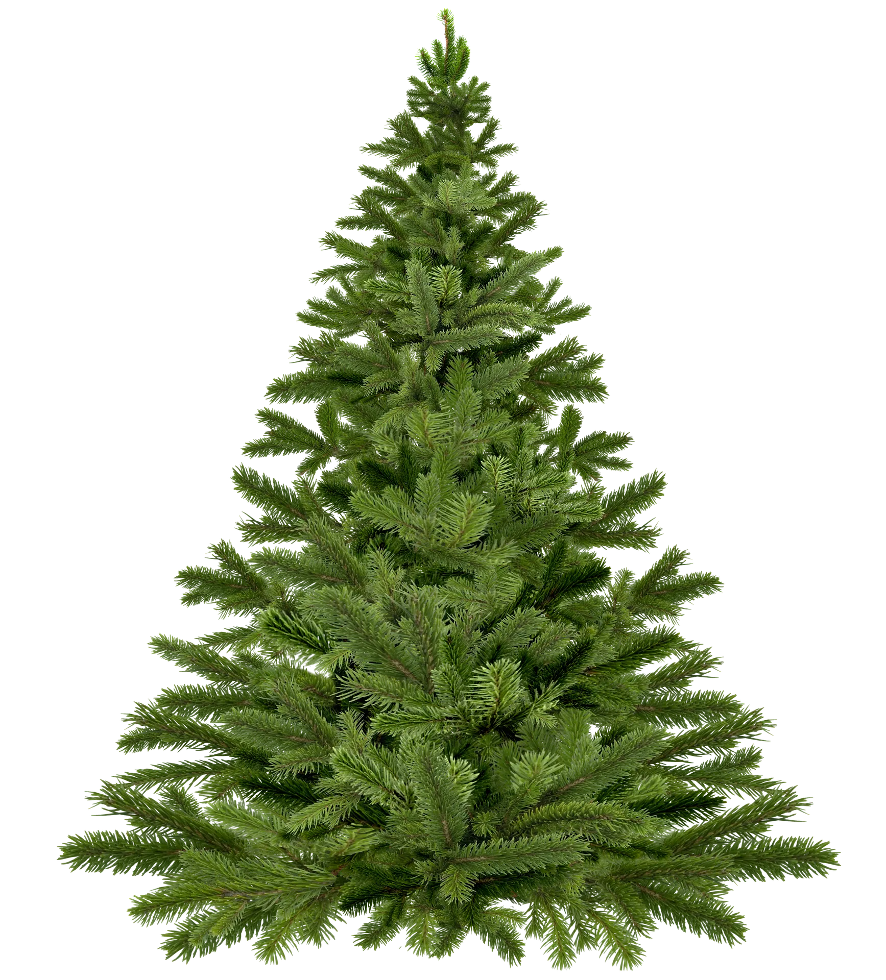 christmas tree christmas 1796131 1920