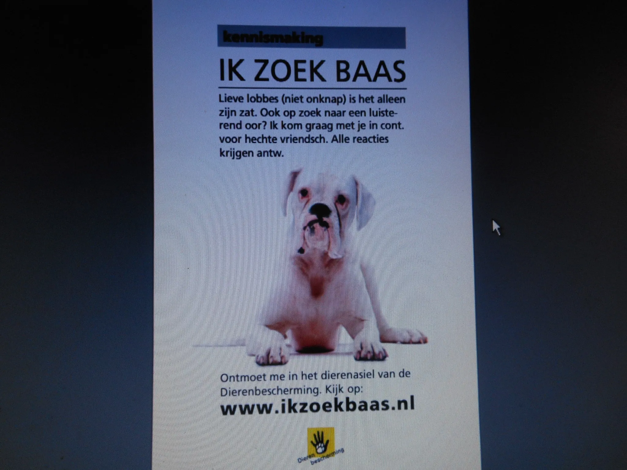 dierenbescherming