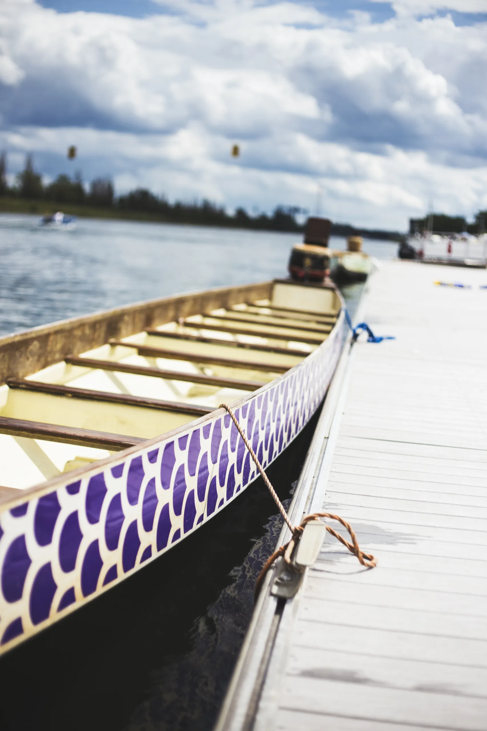 dragon boat 534613