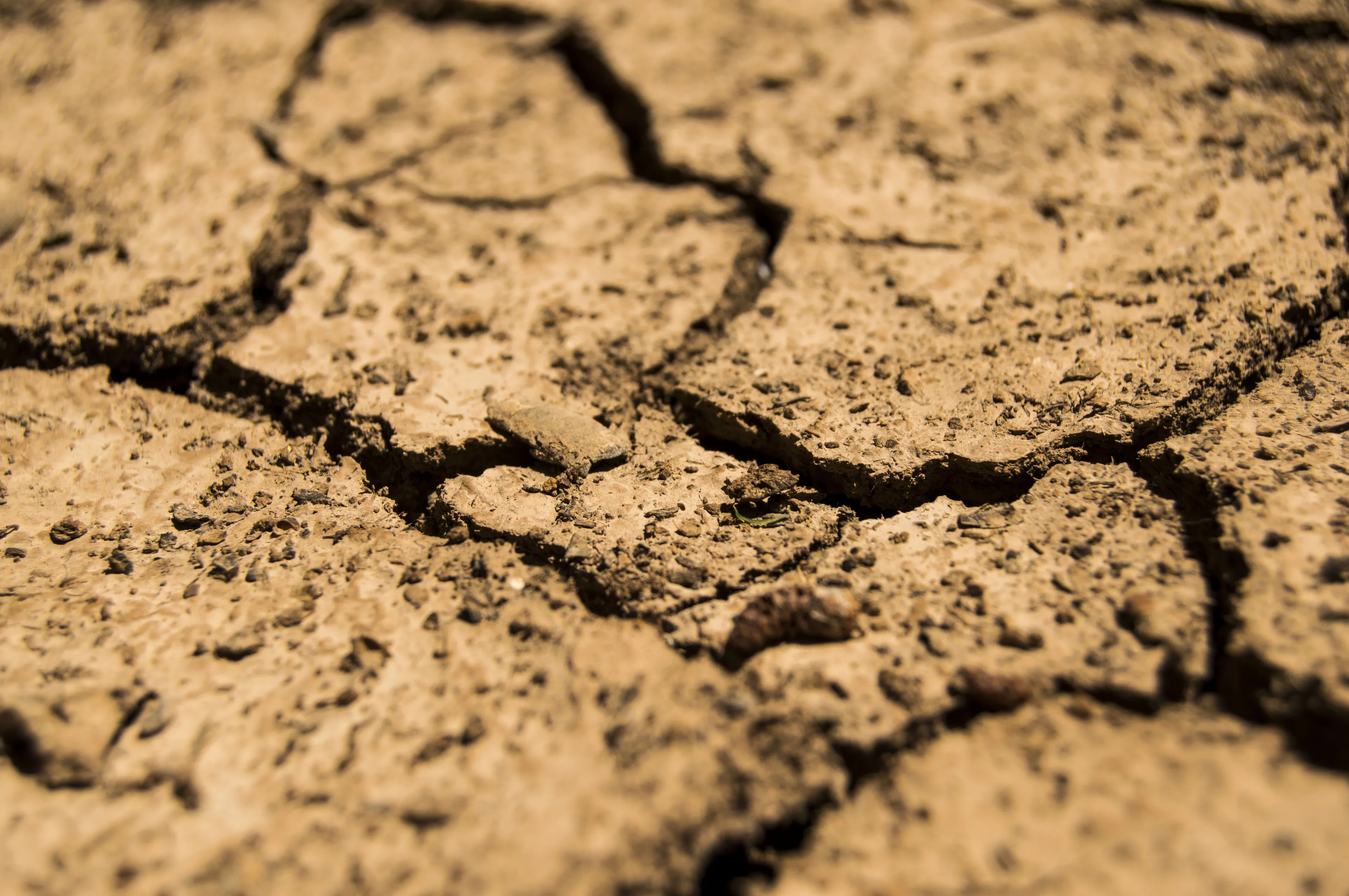 drought 780088