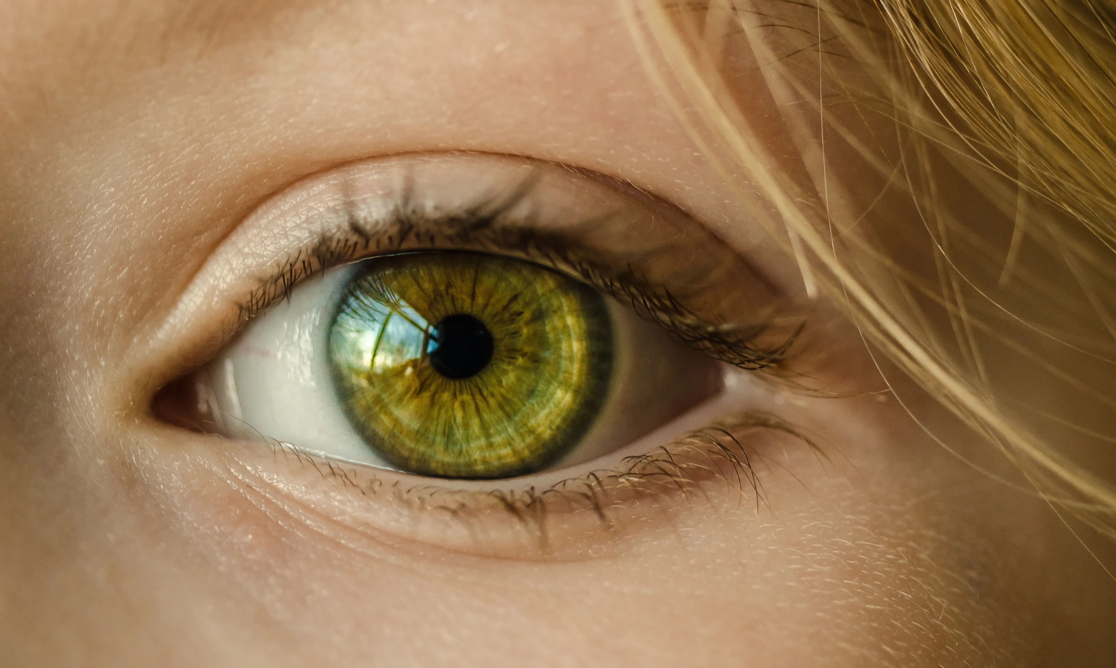 eye 1132531