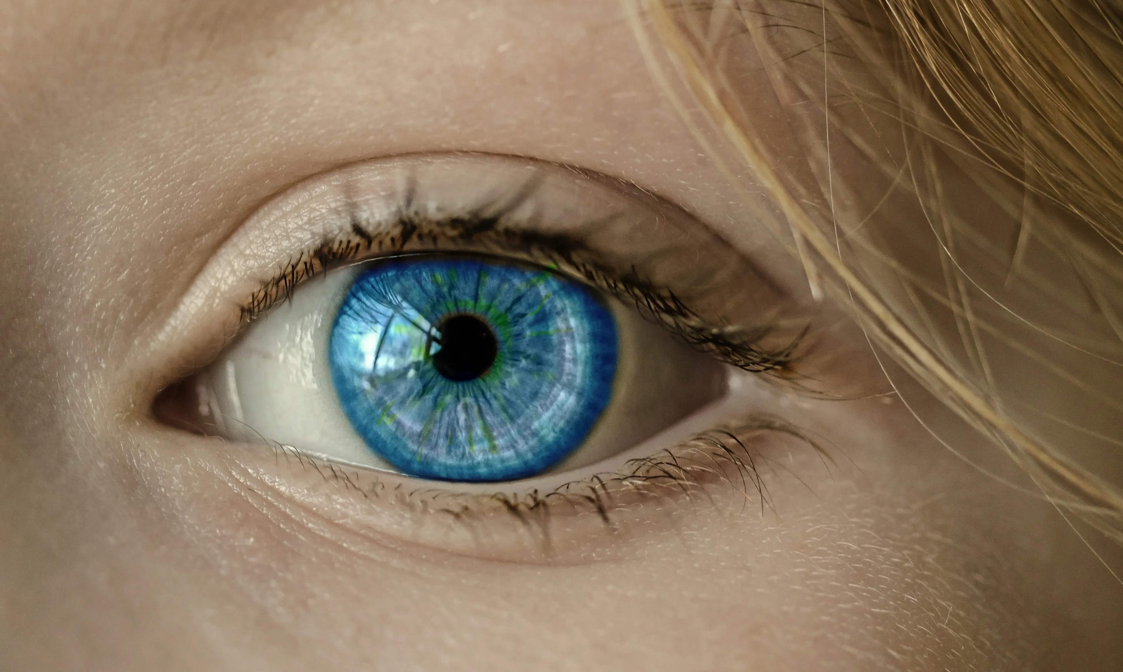 eye 1173863