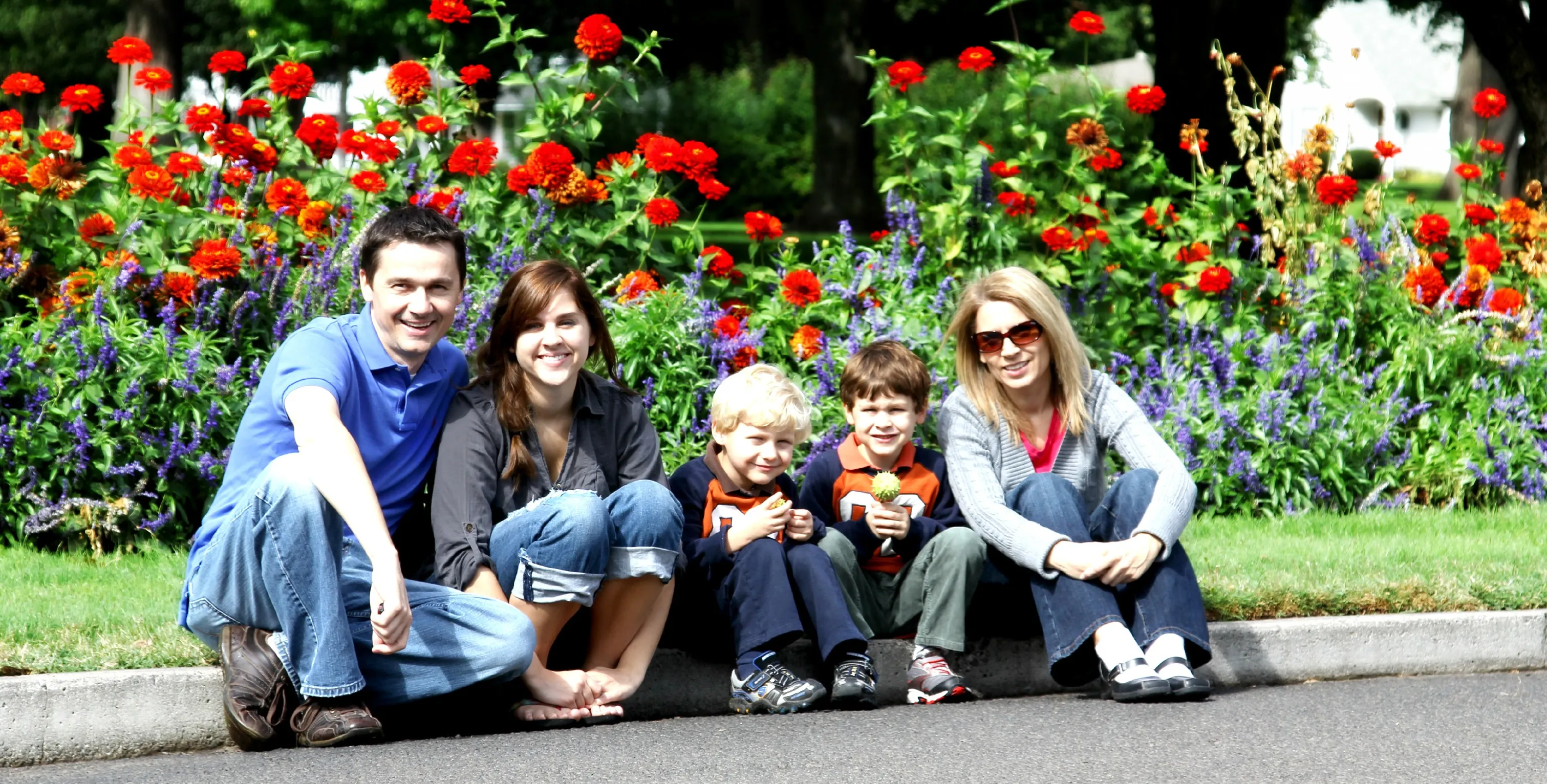 family 286229