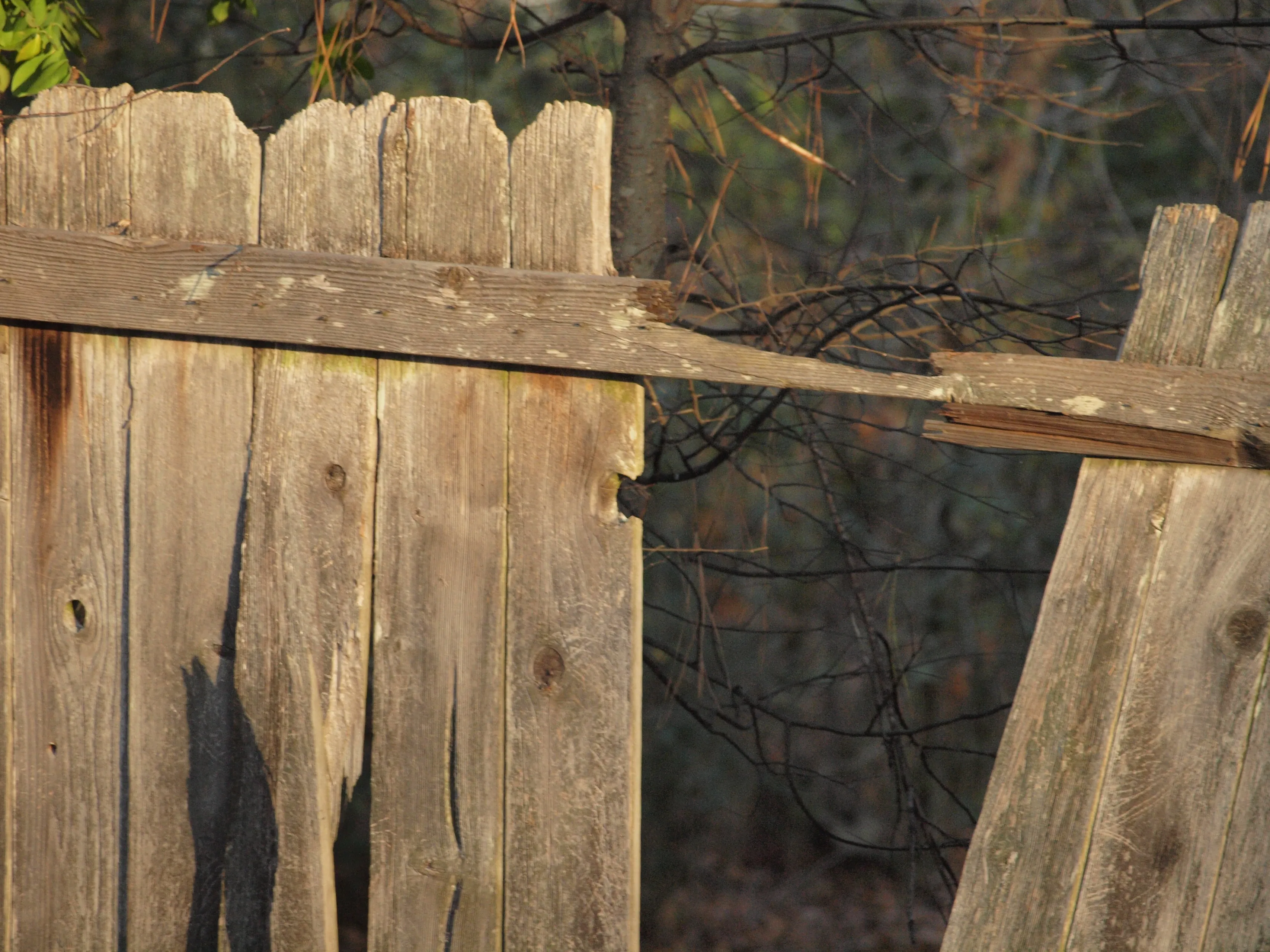 fence 17554