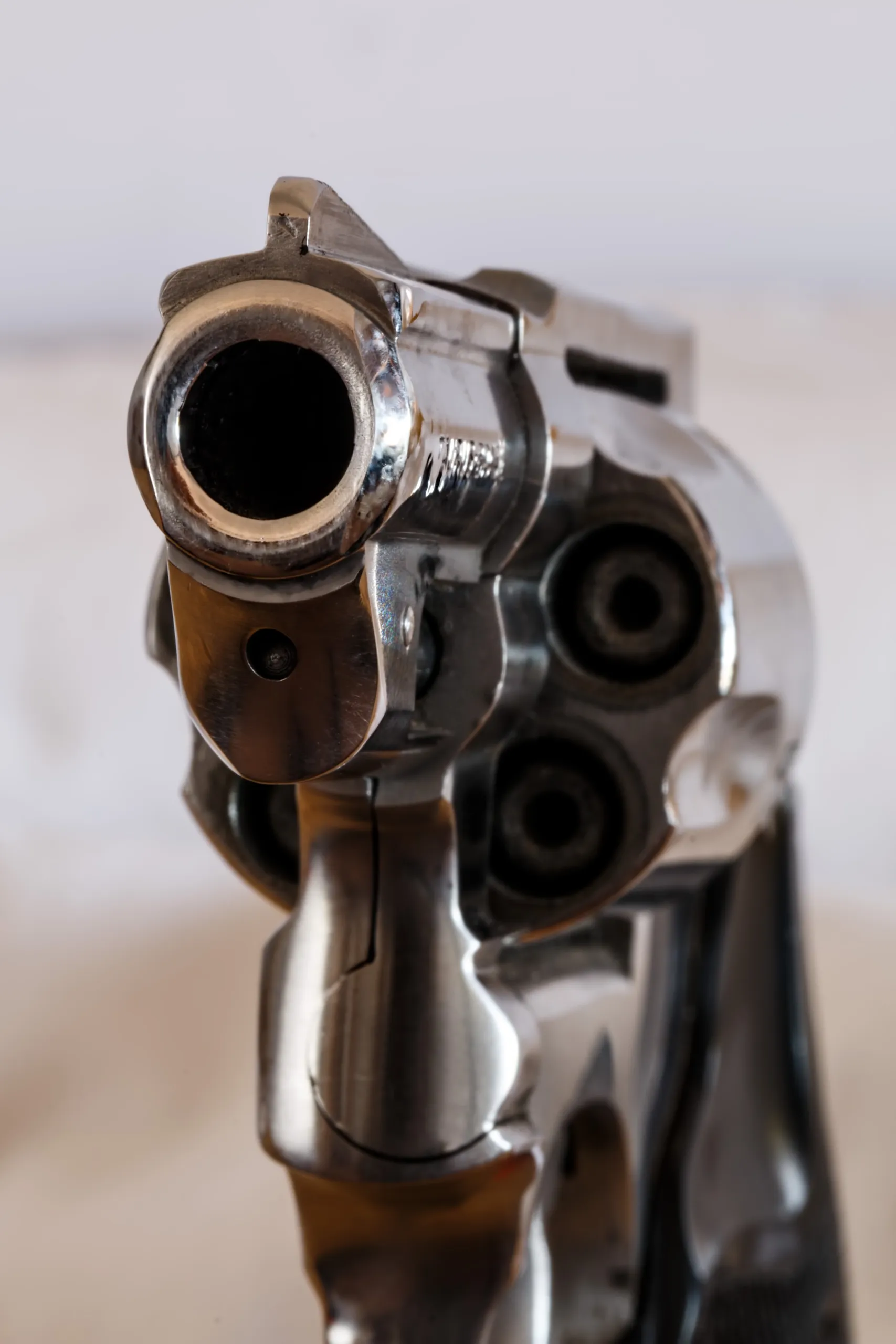 firearm 409000