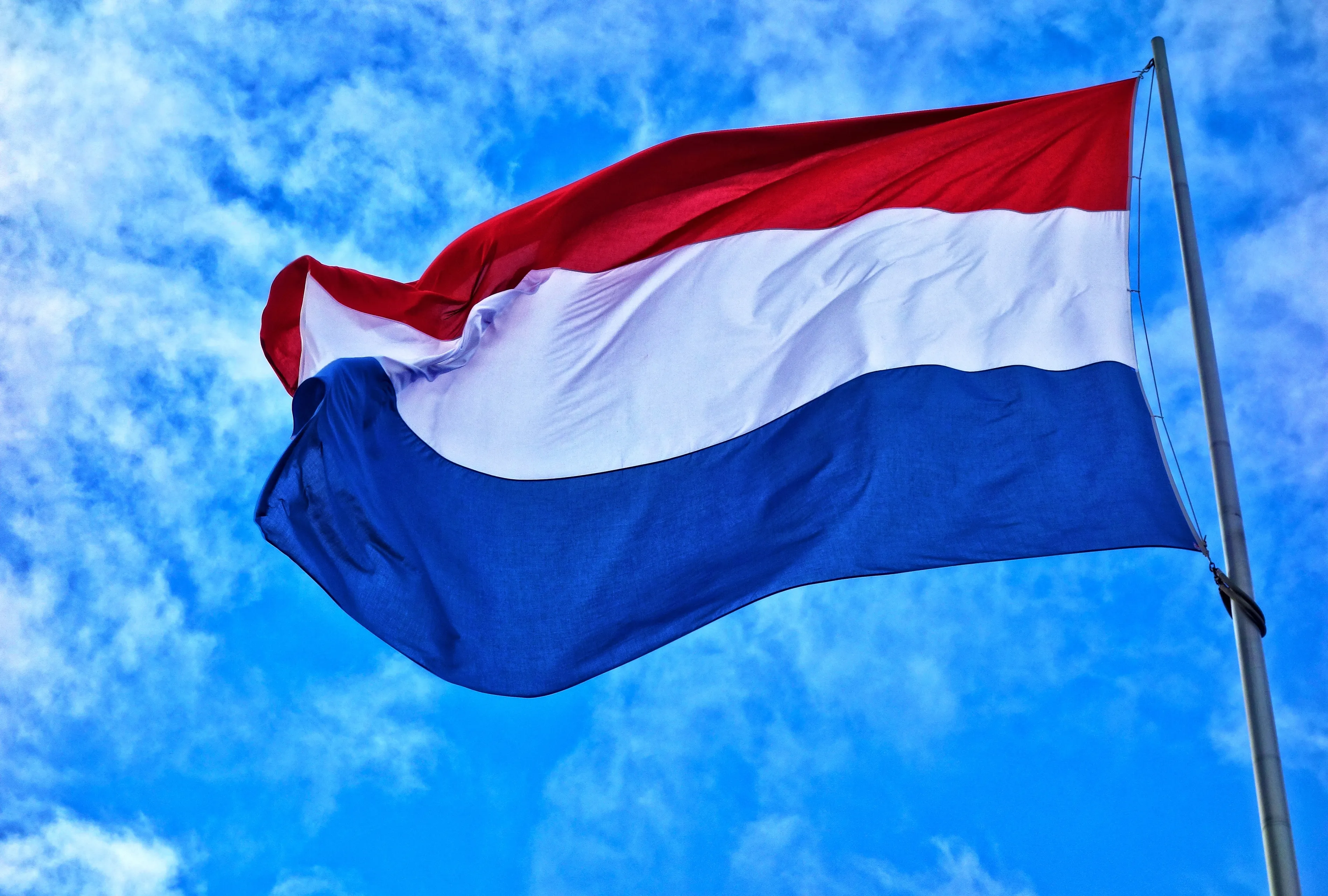 flag 2896002