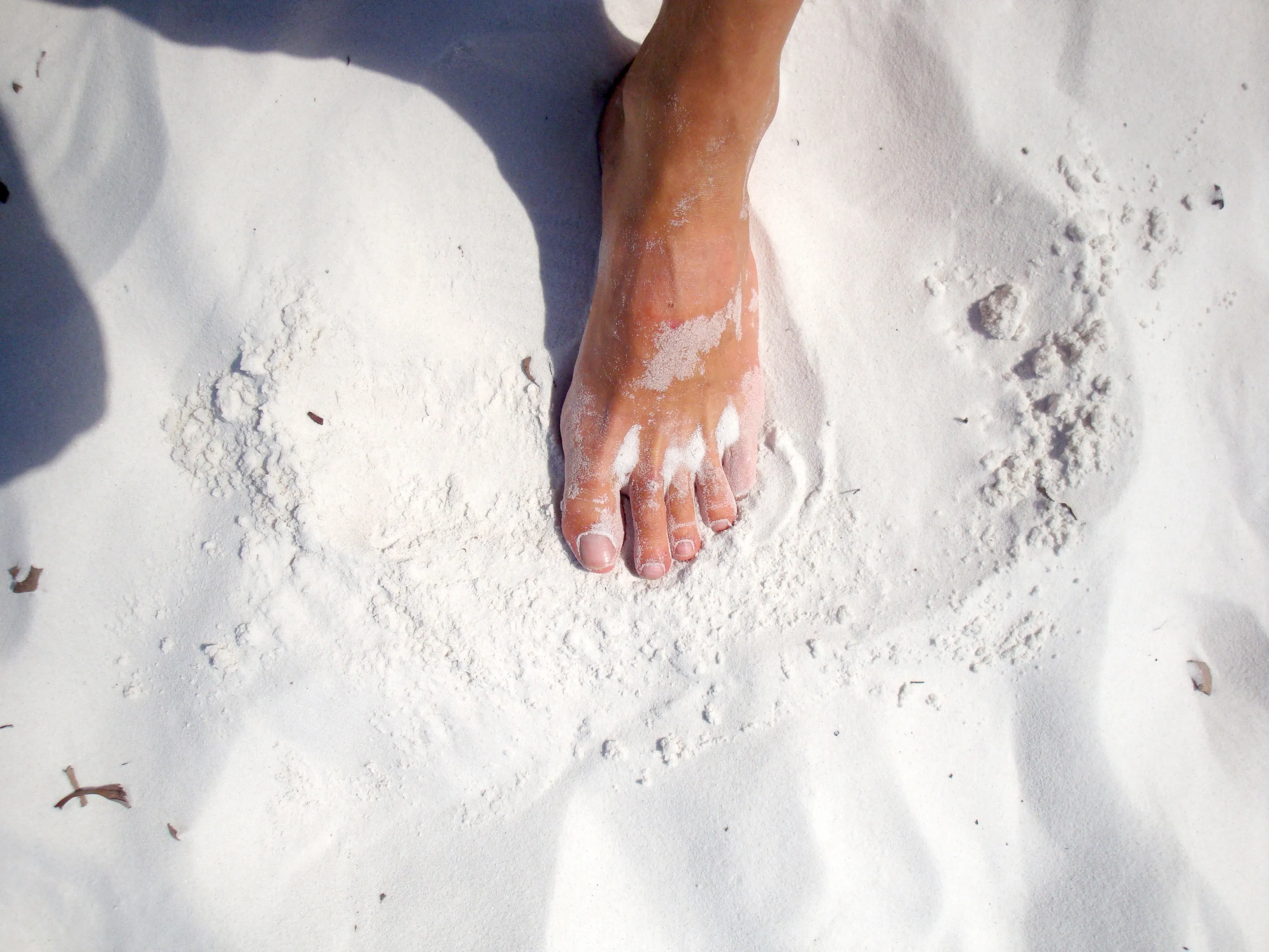 foot 743953