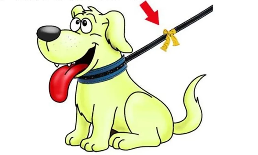 gele hond