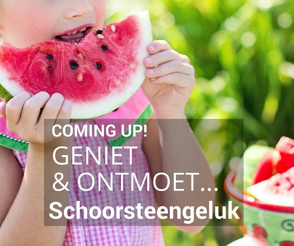 geniet en ontmoet 2 schoorsteengeluk